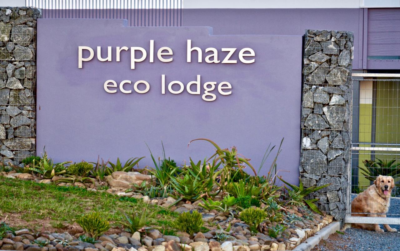 Purple Haze Eco Lodge ชินท์ซา ภายนอก รูปภาพ